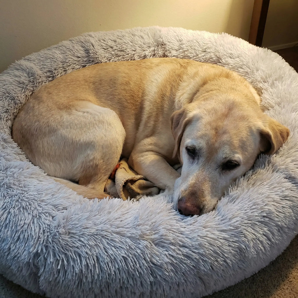 The Big Snooze Anti - Anxiety Dog Bed - The Big Pet Shop