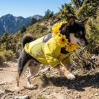 The Dorset Explorer Dog Jacket with Free Lead - The Big Pet Shop