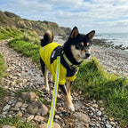 The Dorset Explorer Storm-Breaker Waterproof Bundle - The Big Pet Shop