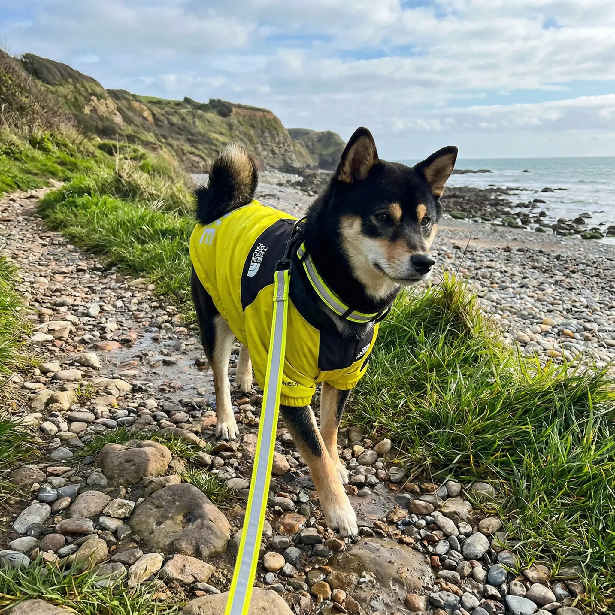 The Dorset Explorer Storm-Breaker Waterproof Bundle - The Big Pet Shop