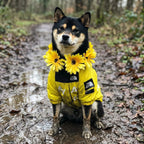 The Dorset Explorer Dog Jacket Reflective Lead Bundle - The Big Pet Shop