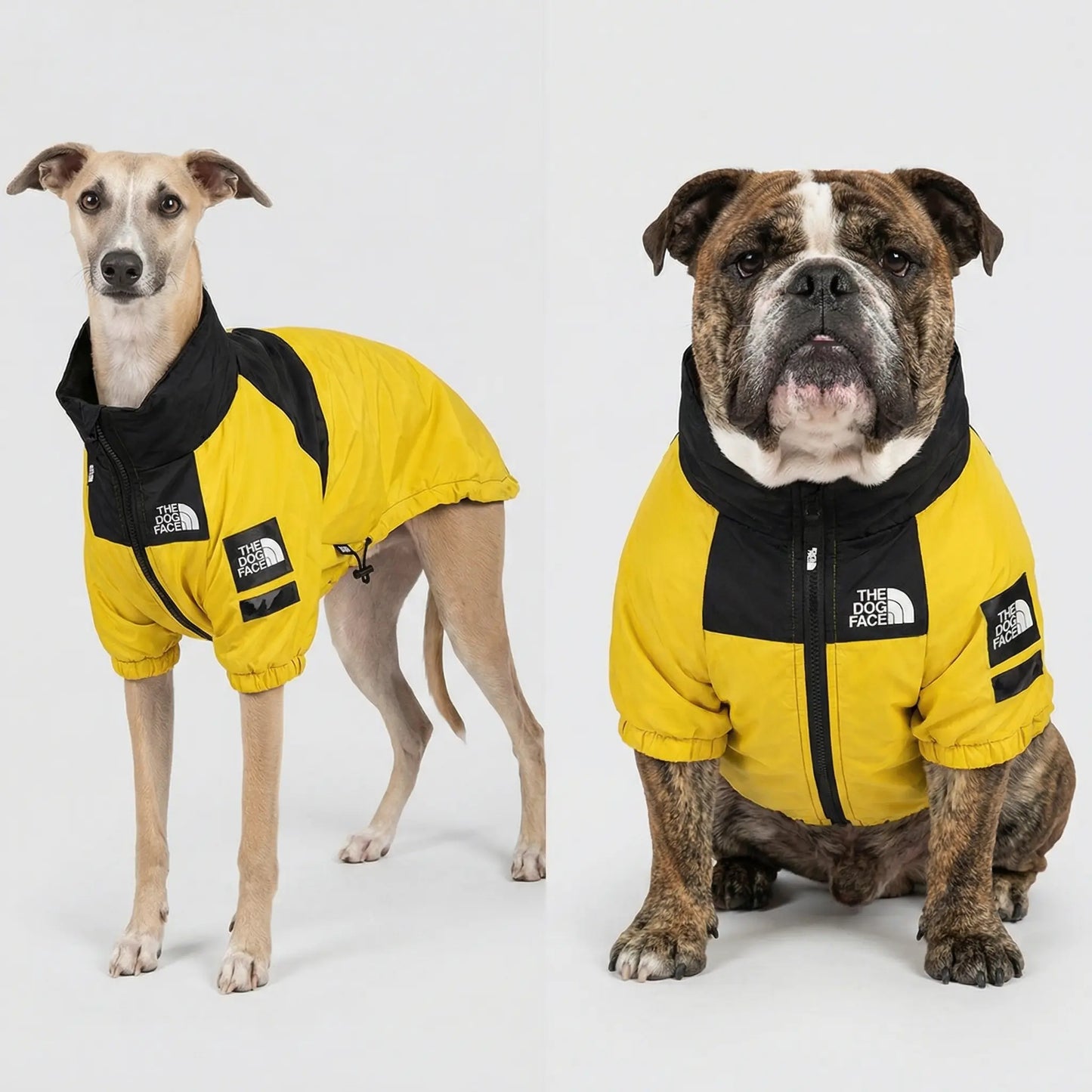 The Dorset Explorer™ Storm - Breaker Bundle – Waterproof Dog Jacket + FREE Reflective Lead - The Big Pet Shop
