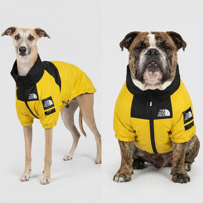 The Dorset Explorer™ Storm - Breaker Bundle – Waterproof Dog Jacket + FREE Reflective Lead - The Big Pet Shop
