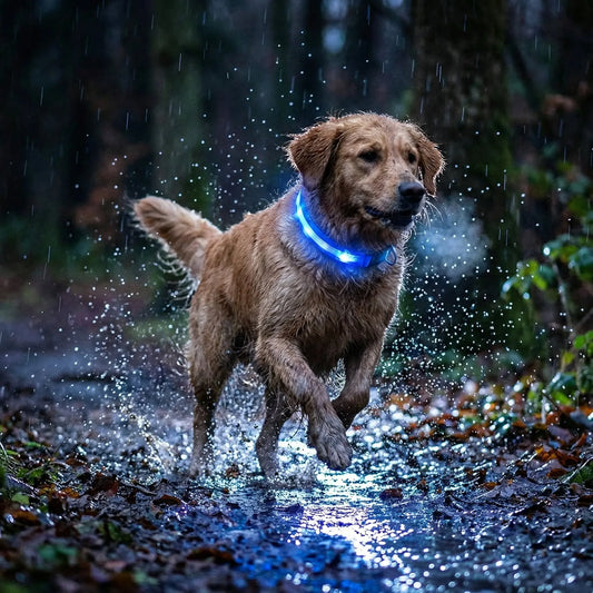 The Tactical Control Collar (Heavy Duty) + Free Lead Bundle