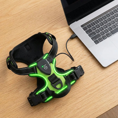 Glow Bright Dog Harness – Keep Your Dog Visible & Safe on Night Walks - The Big Pet Shop