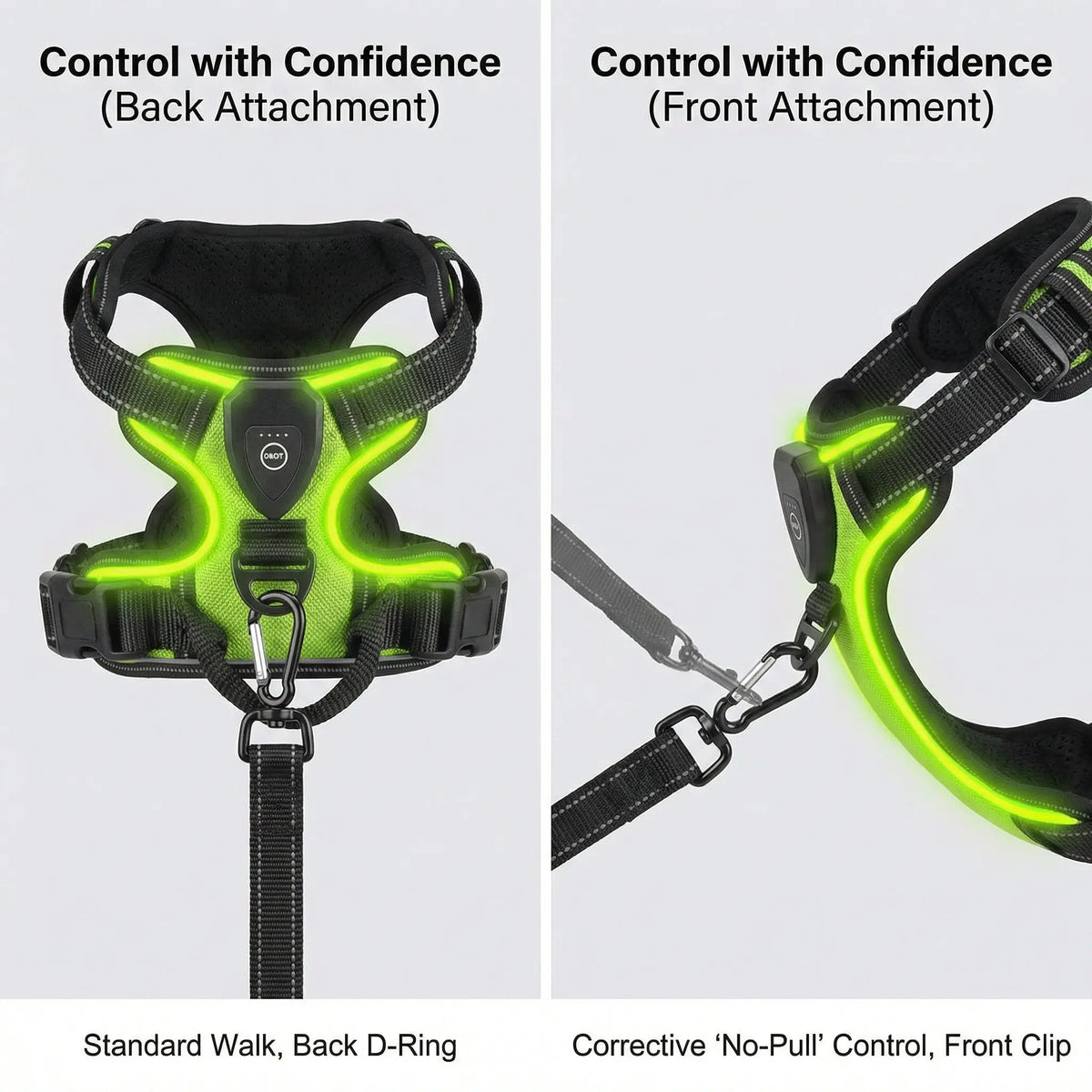 Glow Bright Dog Harness – Keep Your Dog Visible & Safe on Night Walks - The Big Pet Shop