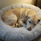 The Big Snooze Anti-Anxiety Calming Dog Bed UK - The Big Pet Shop