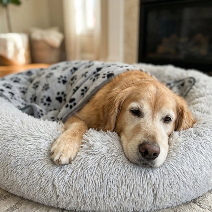 The Big Snuggle™ Calming Dog Blanket - The Big Pet Shop