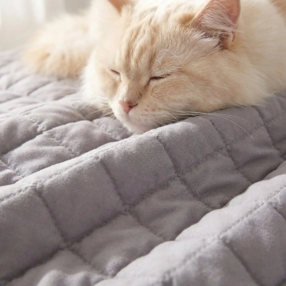 The Big Dry™ Waterproof Dog Blanket – Reversible Sofa, Bed & Car Seat Protector - The Big Pet Shop