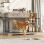 The Big Den™ Pro - The Big Pet Shop