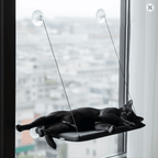 The Big Lookout — Suction Cup Cat Window Hammock - The Big Pet Shop