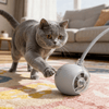 The Big Chase — Interactive Rolling Ball Cat & Dog Toy - The Big Pet Shop