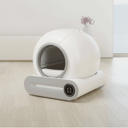 The Big Clean — Self-Cleaning Cat Litter Box, App-Controlled WiFi, 15-Day Hands-Off - The Big Pet Shop