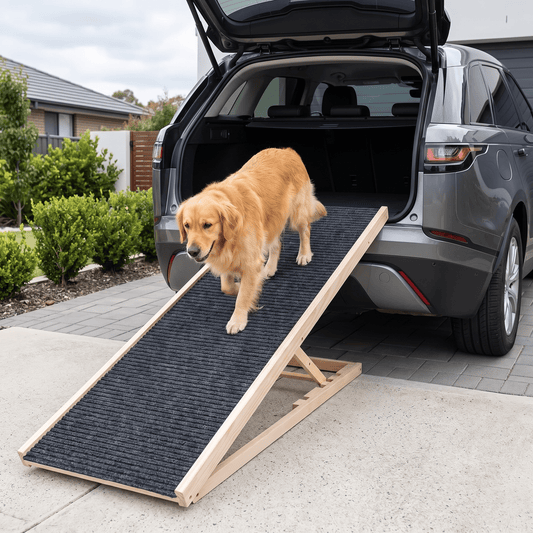 The Big Step — Adjustable Wooden Pet Ramp for Car & Sofa - The Big Pet Shop