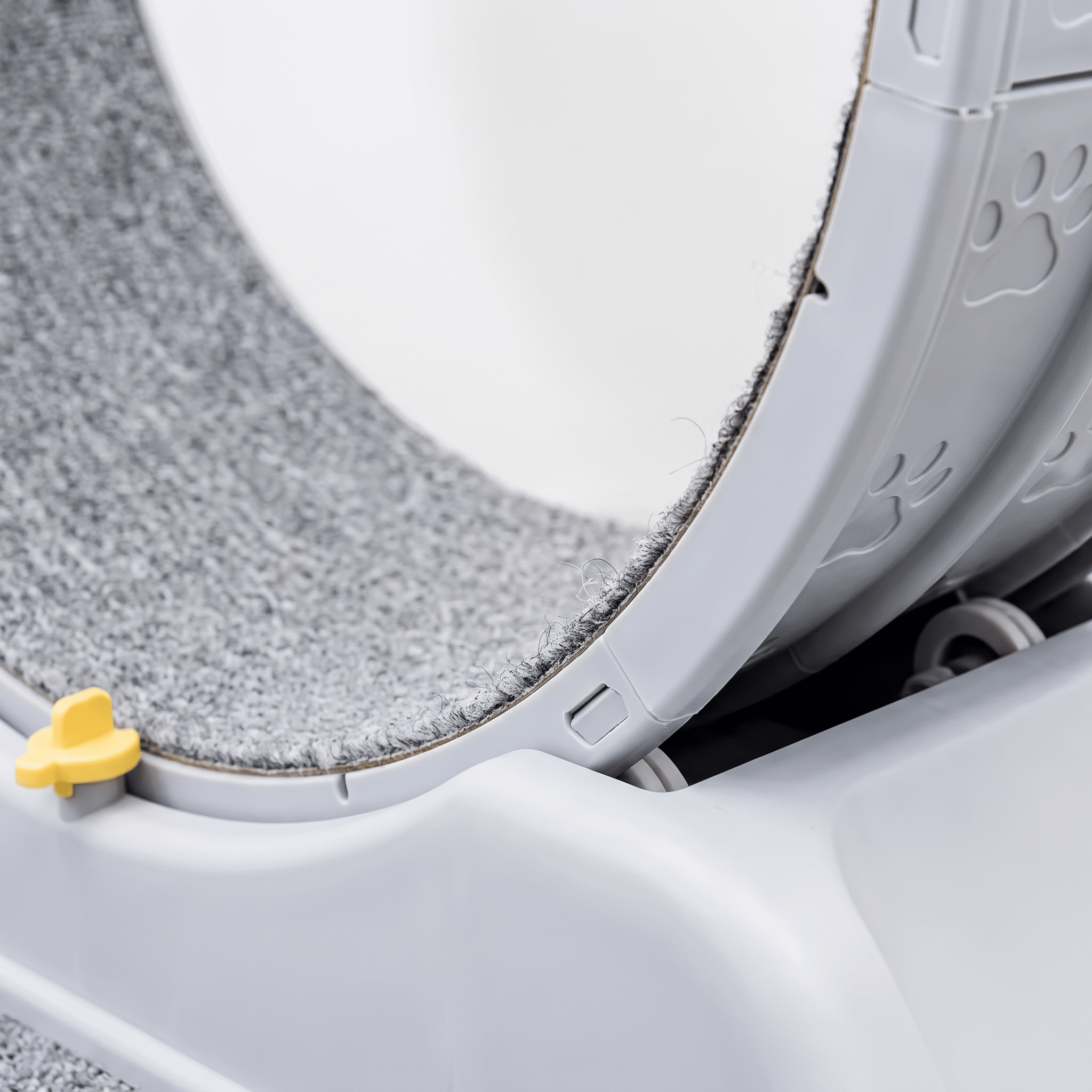 The Big Run — Cat Exercise Wheel Treadmill - The Big Pet Shop