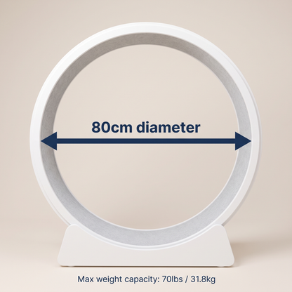 The Big Run white cat exercise wheel size guide - 80cm diameter, 70lbs max weight capacity