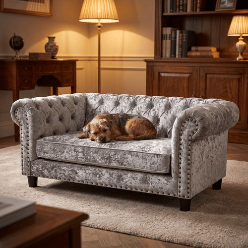 The Big Lounge — Luxury Velvet Chesterfield Pet Sofa - The Big Pet Shop