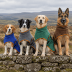 The Big Dry-Off — Classic Microfibre Dog Drying Coat - The Big Pet Shop