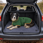 The Big Dry-Off Kit — Drying Coat + Large Paw Towel Bundle - The Big Pet Shop