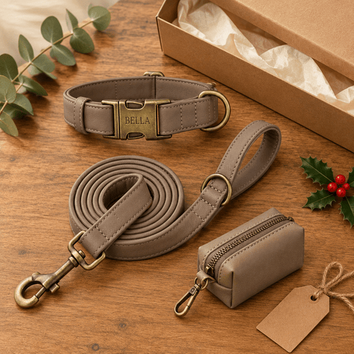 The Big Walk Set — Personalised Collar, Lead & Poop Bag Holder - The Big Pet Shop