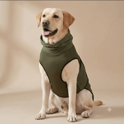 Three different sized dogs wearing matching navy blue anxiety vests showing size range